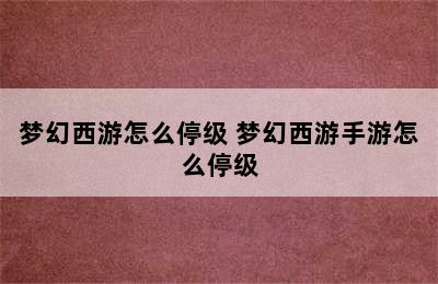 梦幻西游怎么停级 梦幻西游手游怎么停级